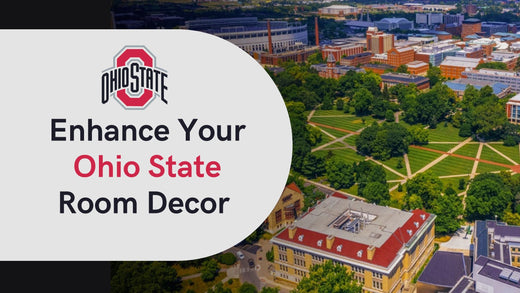 Ohio State Dorm Room Decor Pillows