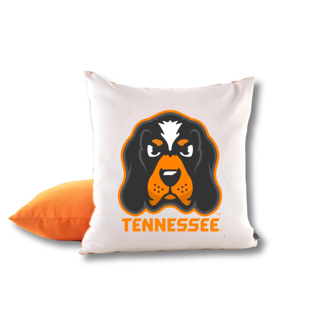 Tennessee Volunteers Smokey Hammock Chair