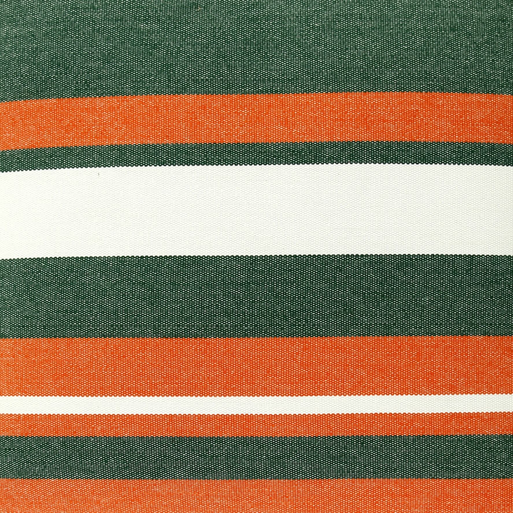 University of Miami colors orange and green