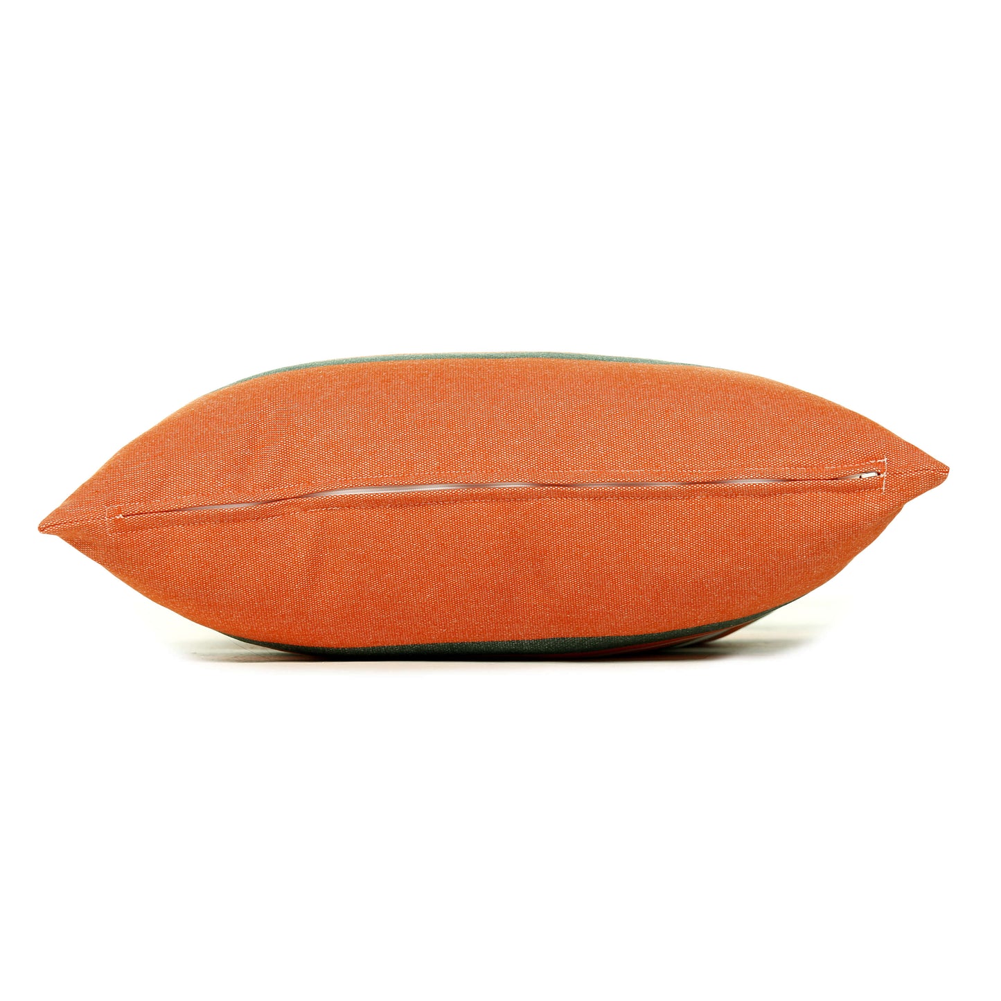 University of Miami Colors Pillow