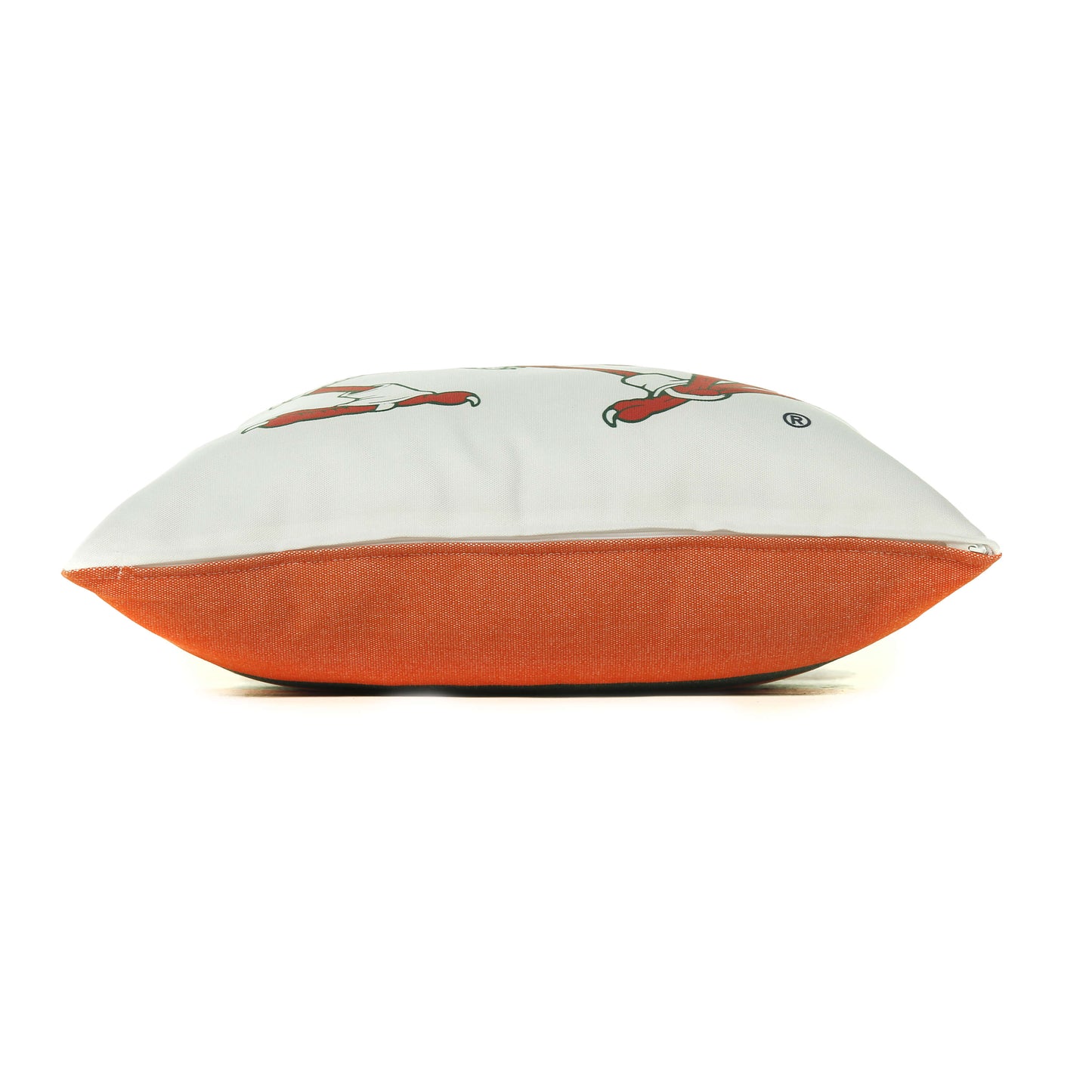 Miami Hurricanes throw pillow cover