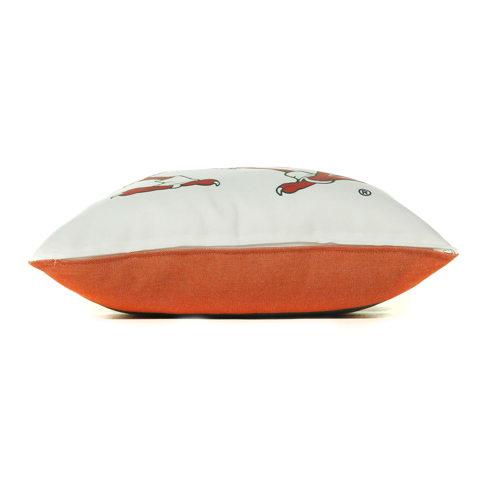 Miami Hurricanes throw pillow cover