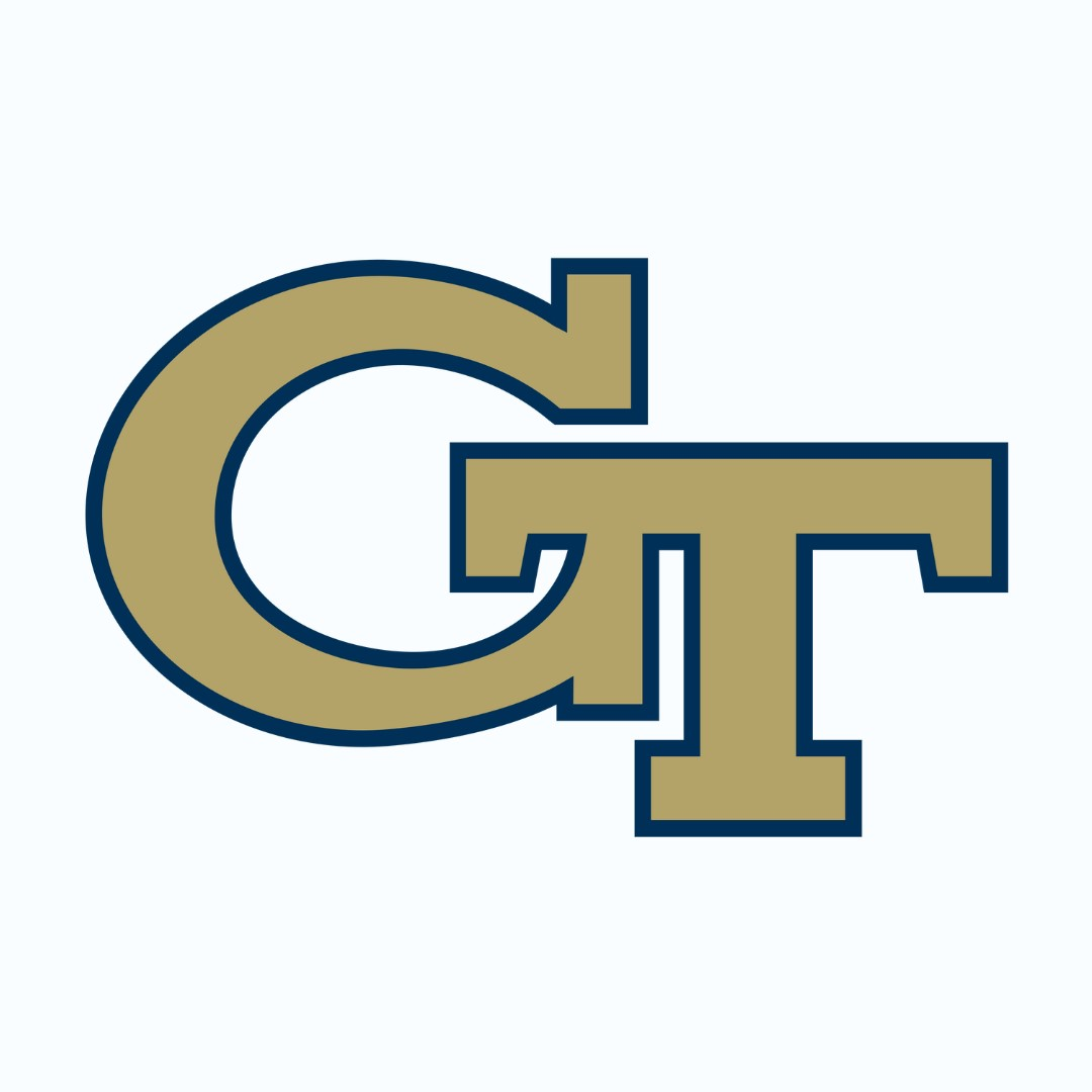 Georgia Tech Hammocks
