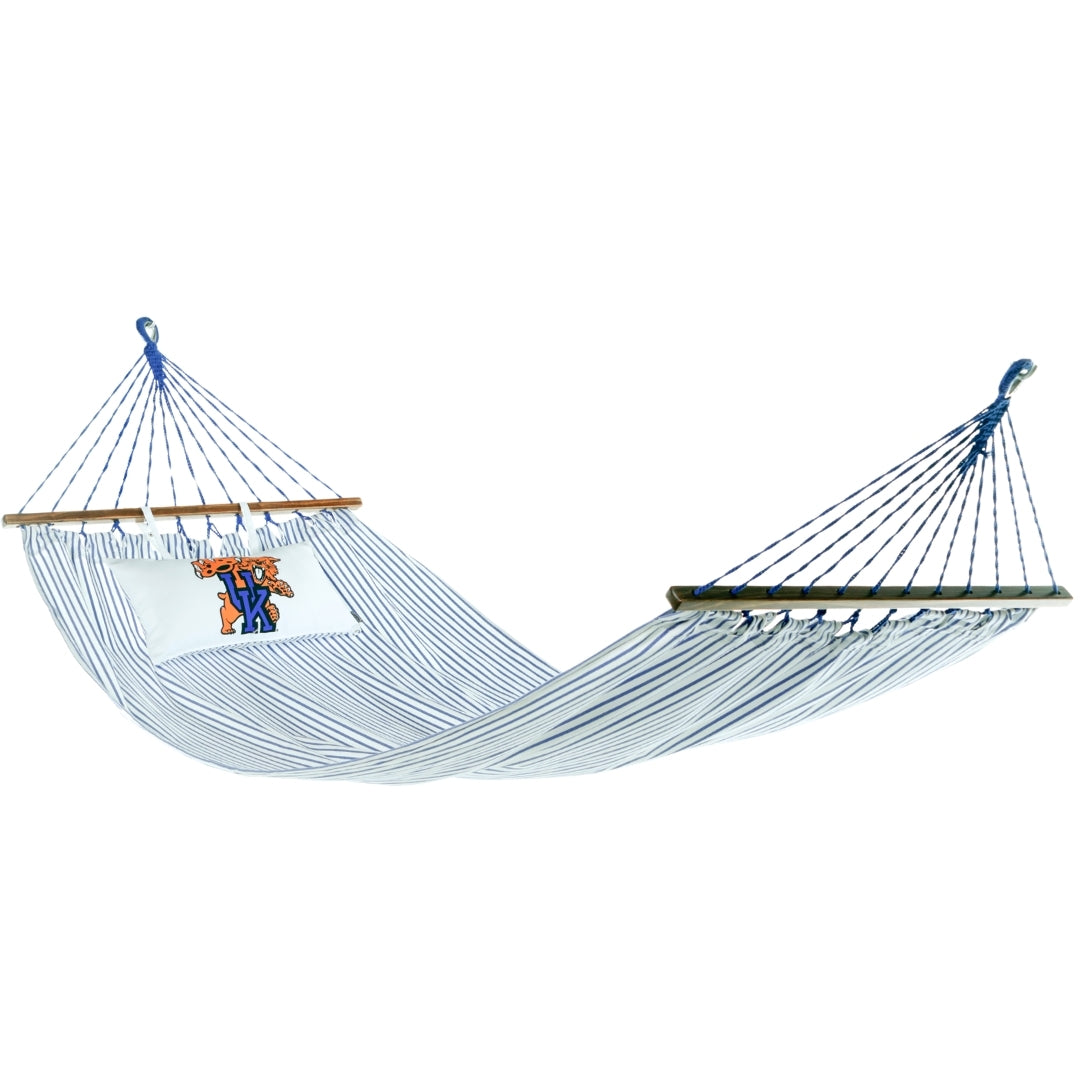 White and blue stripe hammock with the Kentucky Wildcat hammock with wooden bars on a white background
