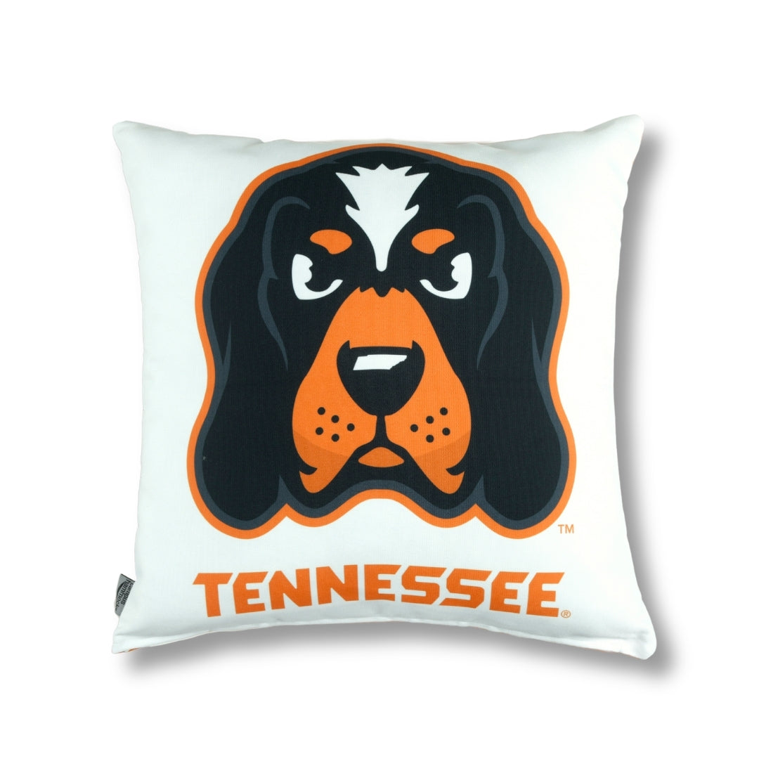 Pillow with Smokey the University of Tennessee hound mascot and orange 'TENNESSEE' text on a white background