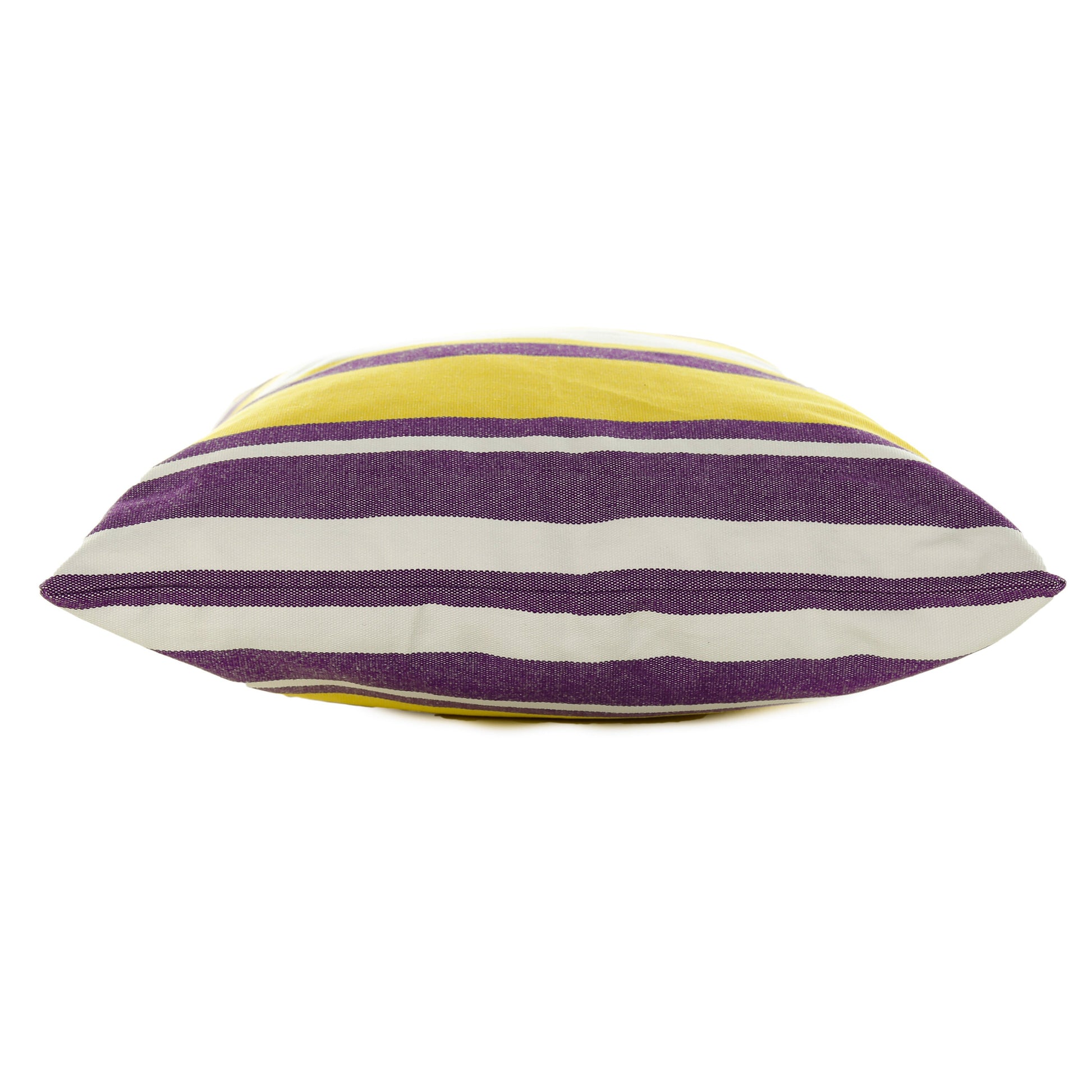 Eastern Carolina pillow